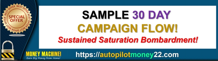 Sample 30 Day Campaign Flow